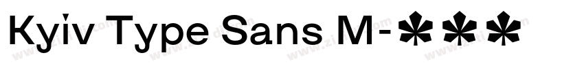 Kyiv Type Sans M字体转换